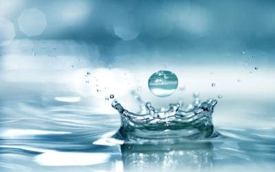 4 Ways to Save Water at Home