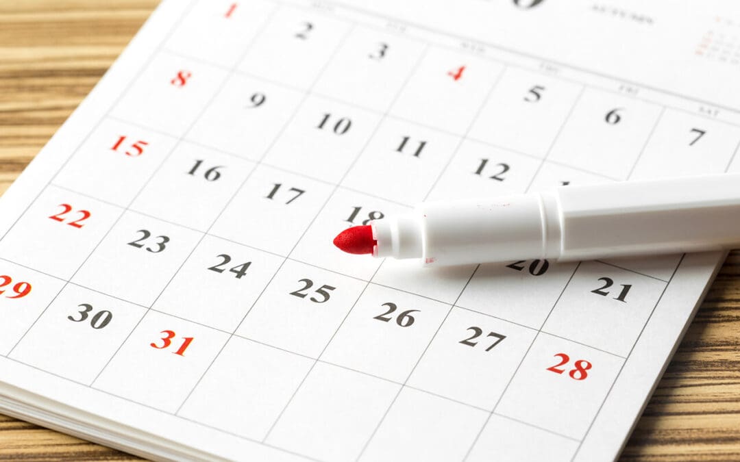 Stress-Free Ownership: Your Monthly Home Maintenance Checklist