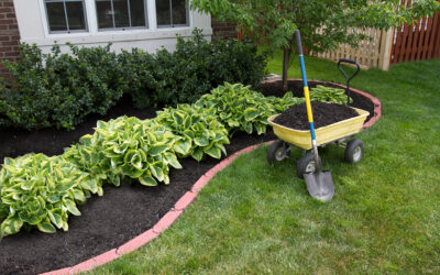 Work Smarter, Not Harder: The Homeowner’s Guide to Low-Maintenance Landscaping